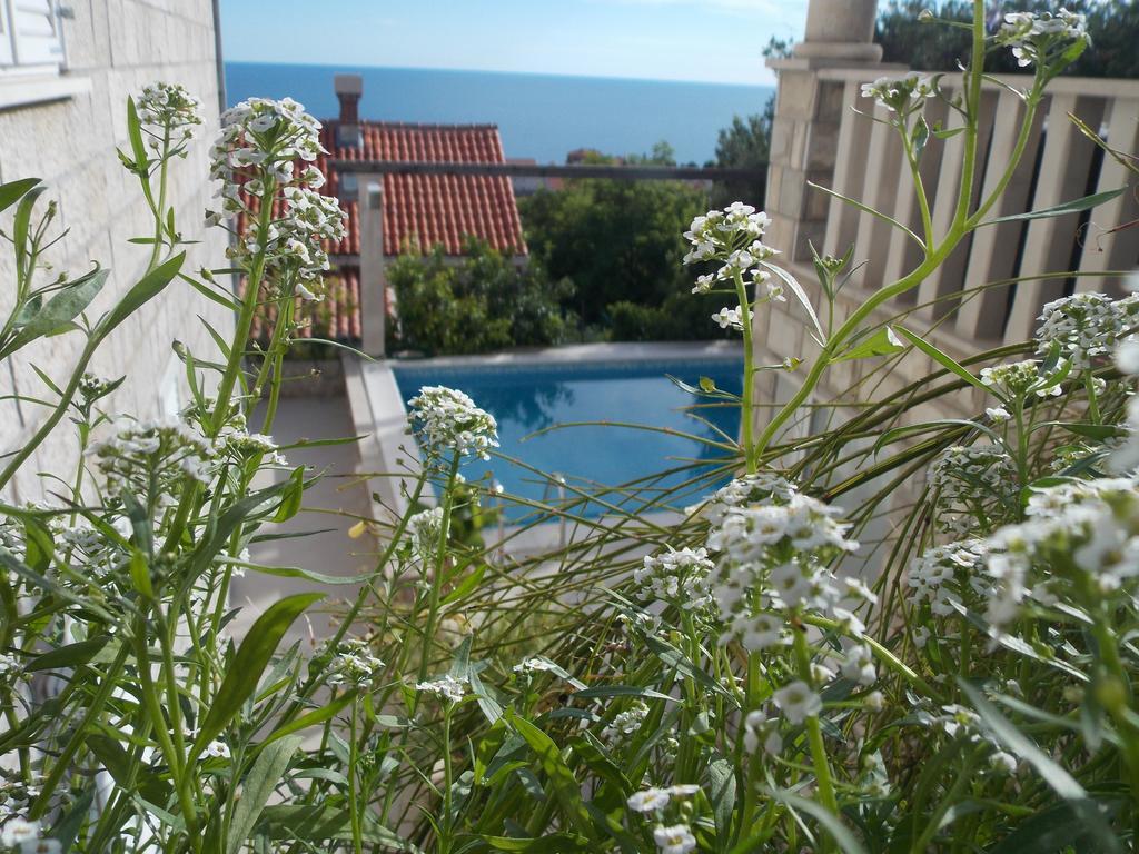 Guesthouse Villa Klaic Dubrovnik Kültér fotó